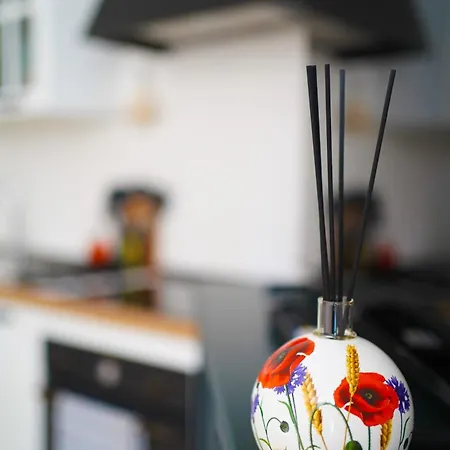 Domus Iulia, Trastevere