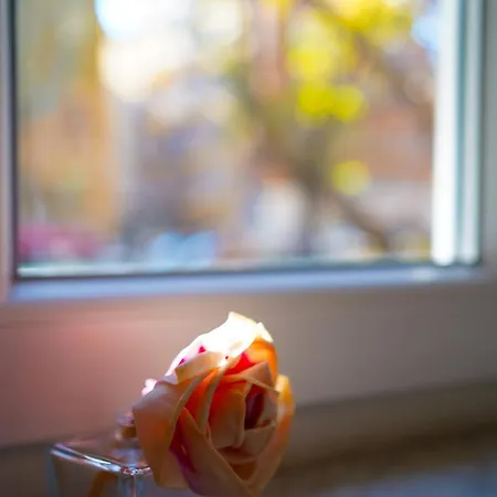 Domus Iulia, Trastevere ローマ